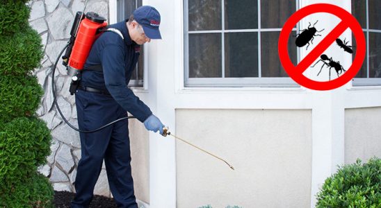 Karacasu Karınca İlaçlama böcek ilaçlama ve haşere kontrolü — ilaclama-tr.com